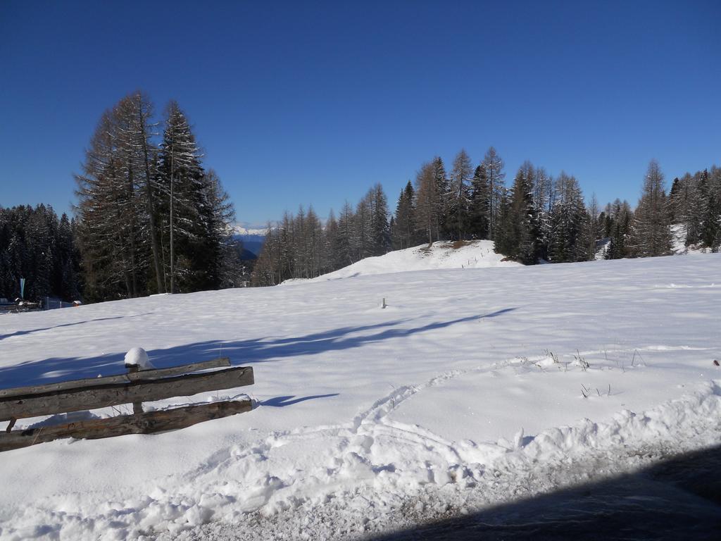 Villa Tamion Vigo di Fassa Luaran gambar